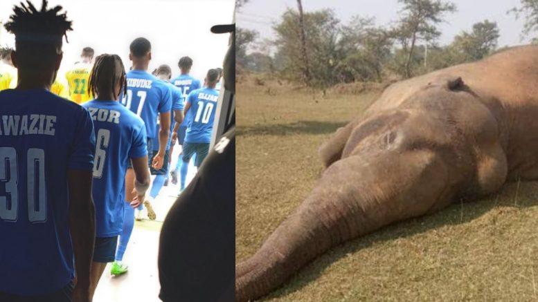 Fans are feasting on the fallen elephant - Bendel Insurance mocks Enyimba after narrow victory