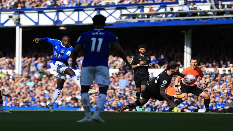 Everton escape relegation on last day of English Premier League Season