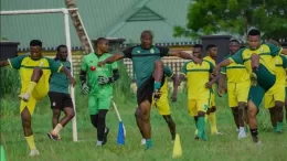 Bendel Insurance Fan Laments Over Bushy Training Pitch, Raise Concern
