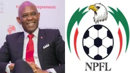 UBA Chairman Tony Elumelu Eyes Acquisition of NPFL Club, Sparking Jubilation Among Nigerians