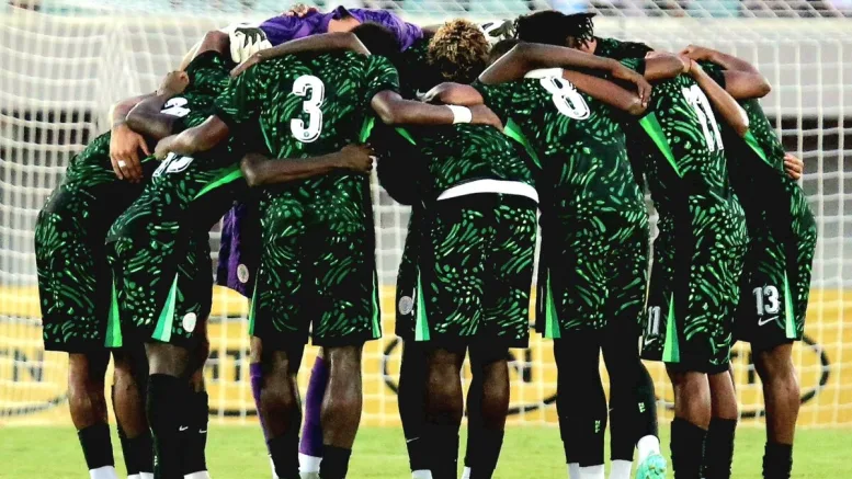 What NFF must do to fix Super Eagles: 'we're progressing in error'