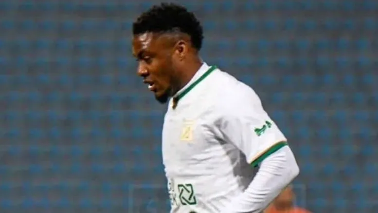 Nigerian forward Anayo Iwuala