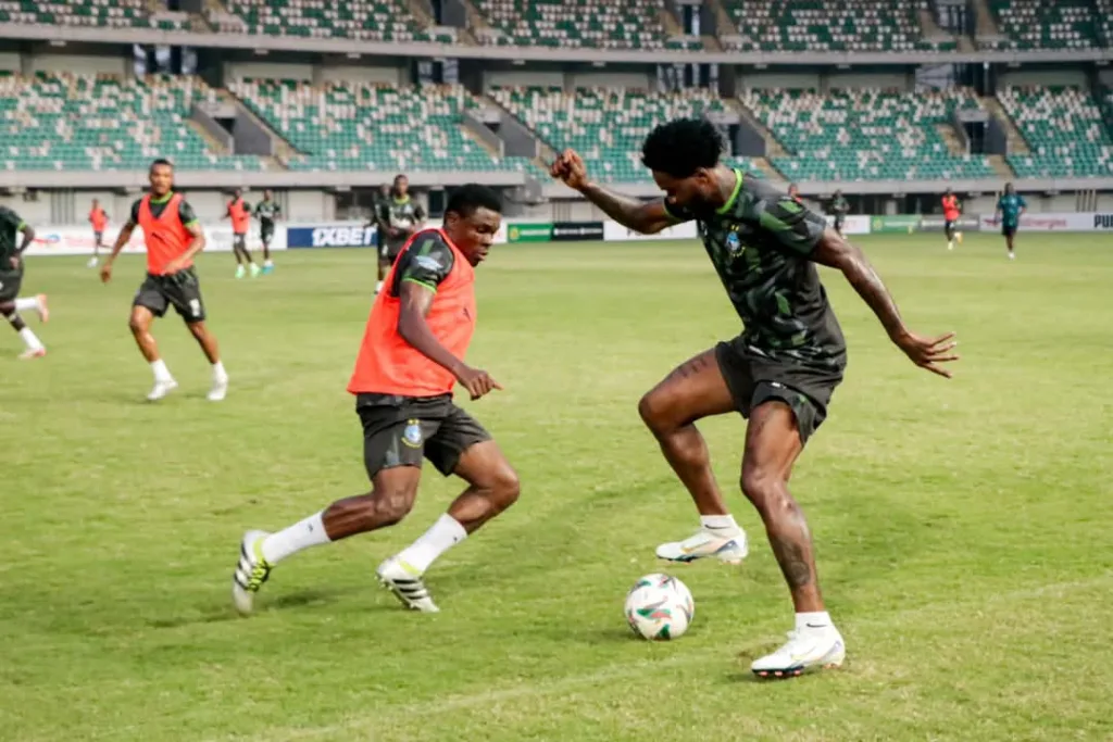 Brown Ideye in training