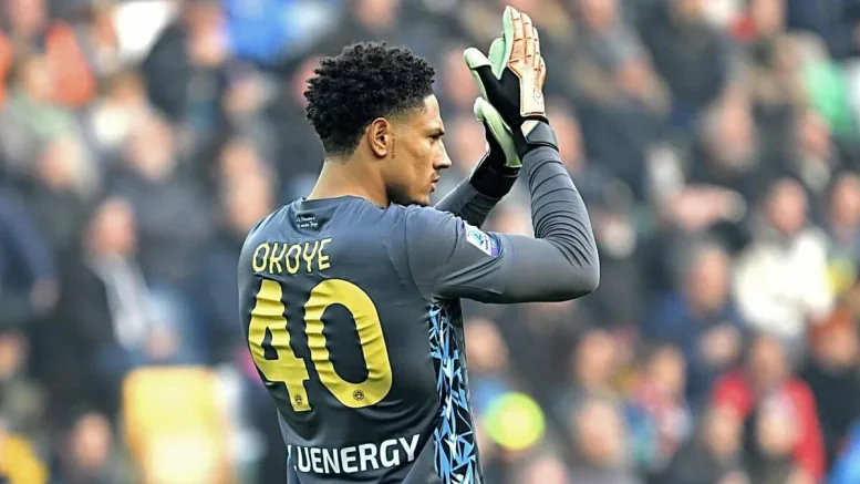 Maduka Okoye: Super Eagles goalkeeper grateful to defend Udinese amid struggles – "I've learned a lot"
