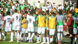 Super Eagles weakness revealed by Eric Chelle