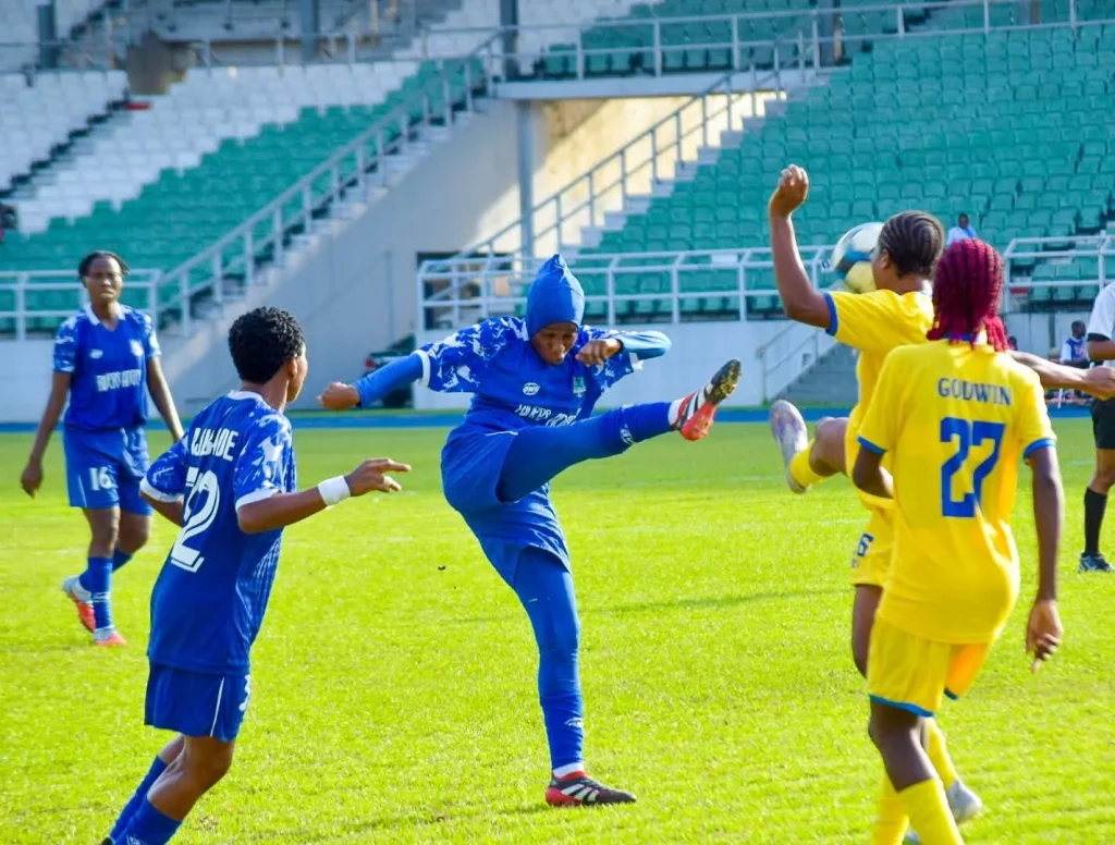 Rivers Angels Brush Aside Adamawa Queens
